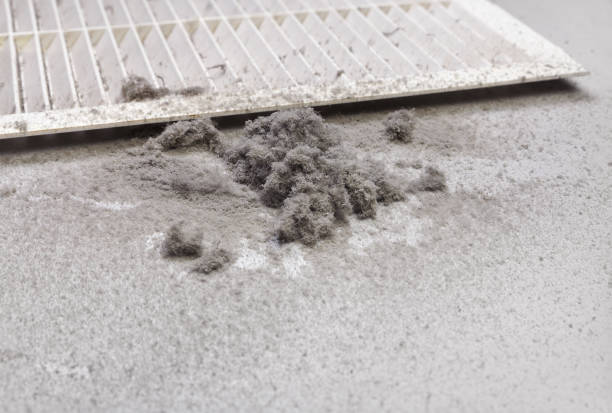 Best Affordable Air Duct Cleaning  in Point Pleasant Beach, NJ