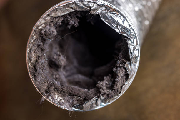 Best Air Duct Cleaning Near Me  in Point Pleasant Beach, NJ