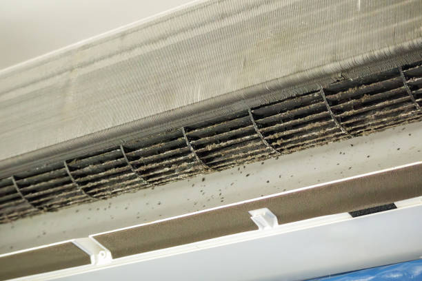 Best Air Duct Cleaning Company Near Me  in Point Pleasant Beach, NJ